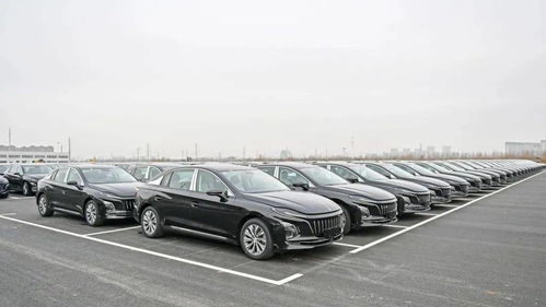 紅旗智造，領(lǐng)航未來(lái) 中國(guó)一汽繁榮工廠搶占新能源汽車(chē)行業(yè)制高點(diǎn)